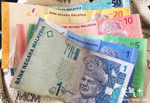 马来西亚马币,马来西亚货币:历史和发展