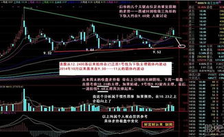 请各位大师帮我分析一下海王生物这支股票