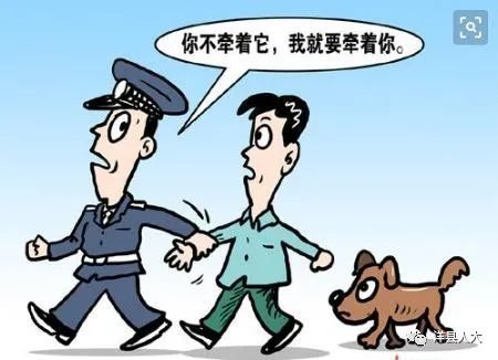 汉中市养犬管理条例 明起施行,这些养犬行为违法,请扩散