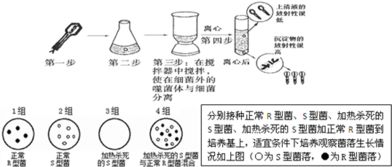 简述肺炎双球菌转化实验过程-第4张图片