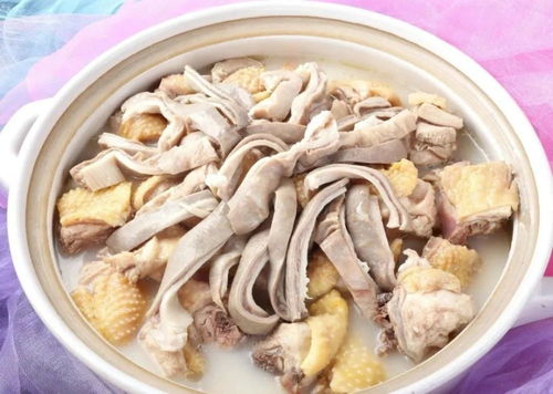 猪肚鸡起源于哪里,猪肚鸡起源于中国广东，是一道经典的广东菜