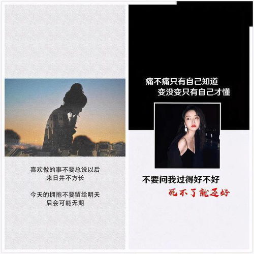 涛涛励志—涛涛和瑞雅有着怎样的故事？