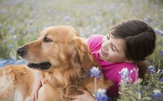 如果你想养宠物的话,心理学家建议选择 狗 
