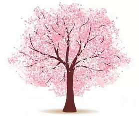 樱花树下磁扣笔记本,建议：樱花树下，邂逅一场浪漫的磁扣笔记本之旅