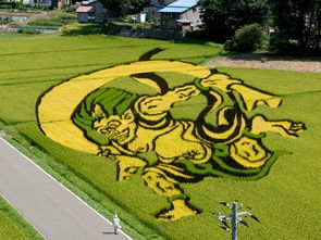 展现日式田间艺术 日本打造稻田版 浮世绘 