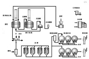 啤酒的定义?为什么大麦是酿造啤酒的主要原料