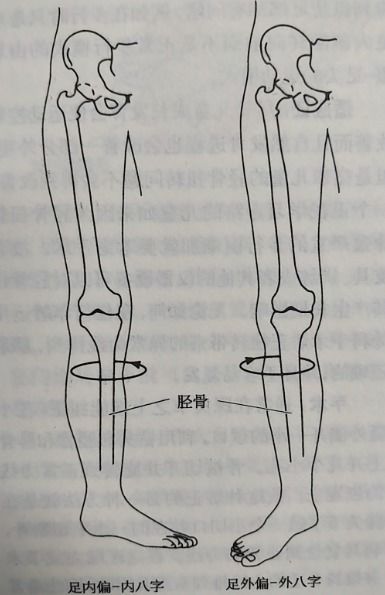 科普文章详情 