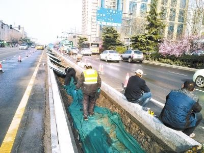 郑州市民疑惑道路中间增加花坛隔离带有必要吗 官方回应