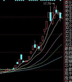 请问600209后市如何