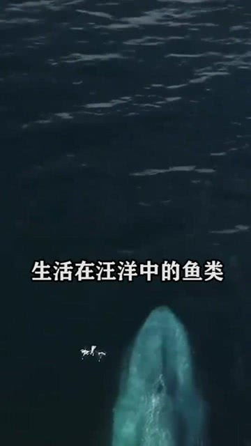 海造句简单_海还像什么造句？