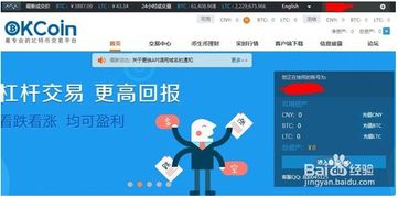 OK比特币如何充值,okcoin人民币充值没到账怎么办？