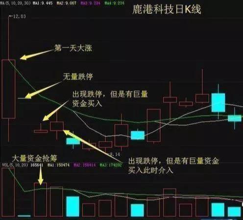 有哪些简单实用易学的选股技巧？