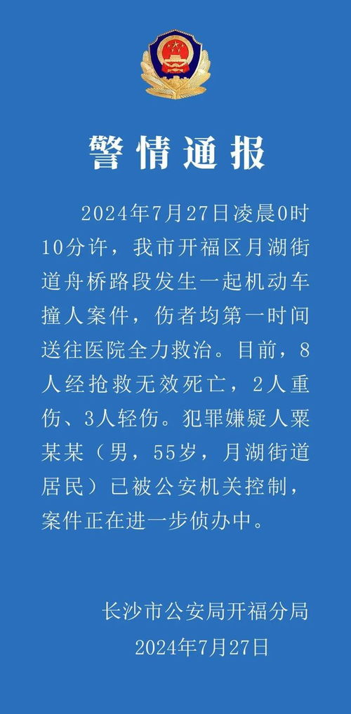 查重户实战手册：查重技巧与案例分析