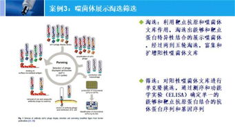 第二十二期在线交流 体外生物学方法开发 基本原理和实践 