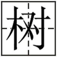 树怎么写田字格,林在田字格的正确写法