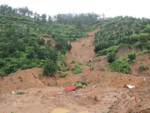 面对这些地质灾害,我们应该如何避险