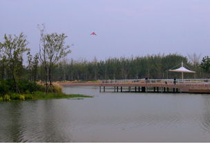 新江湾城湿地公园,新江湾城湿地公园：自然与都市的和谐交响
