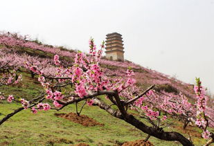 陕西2016旅行时刻表,今年我要去这23个地方,你呢