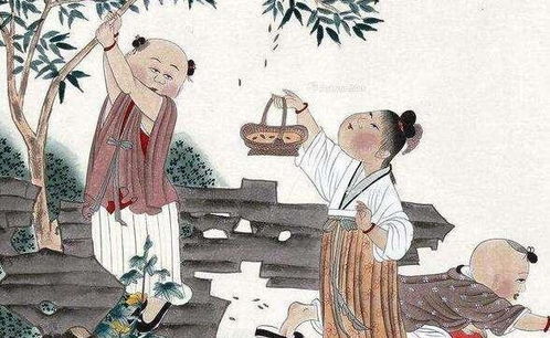 老祖宗常说 日不晒根,口不吞阳 ,晒根与吞阳都有什么含义