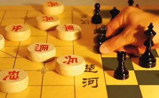 在永春,想学中国象棋的孩子看过来,仅仅1元