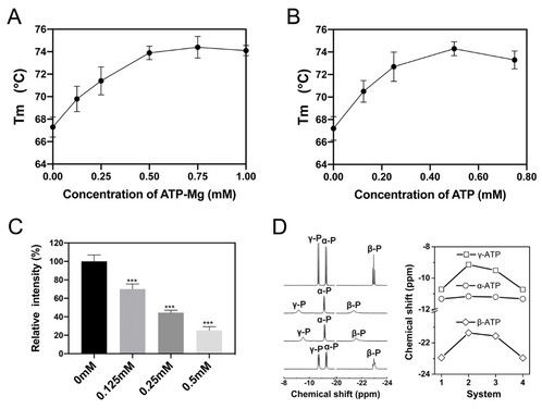 nmr光谱实验,探究分子结构:MR光谱实验详解