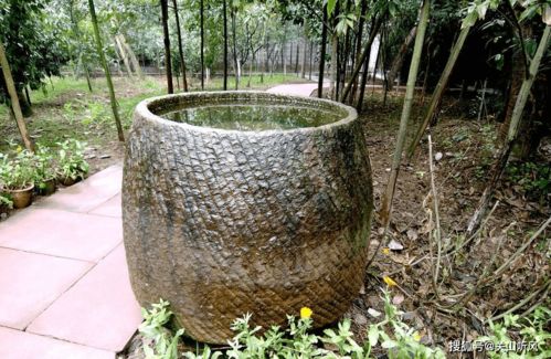 为什么有些农村庭院里要摆放大水缸 有什么用途和寓意吗
