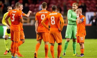 欧洲杯荷兰,荷兰队2012欧洲杯的失败，除了内讧,还有别的原因吗？