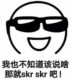 一夜刷屏的skr到底是啥意思 