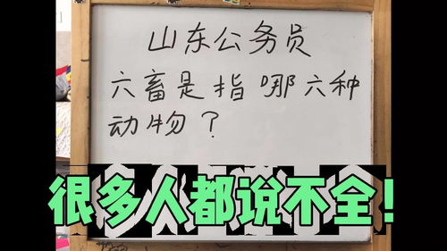 山东公务员面试 六畜是指哪六种动物,除了鸡 猪 牛 