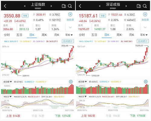 怎么查找5连阴以上的个股