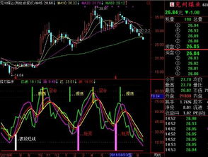 600716后市能补仓吗6.9的成本