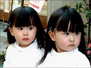 汉字也撞脸 看完这些双胞胎,你还敢说自己的中文过关了吗 