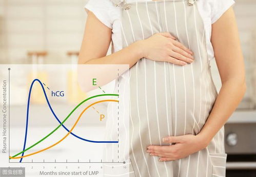孕酮和HCG的正常值是多少 保胎两者缺一不可吗