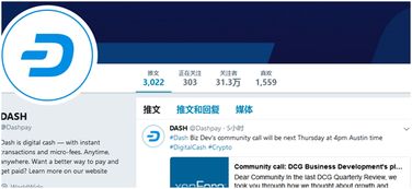 dash币还可以买入吗,怎么样才能在中币上交易dash