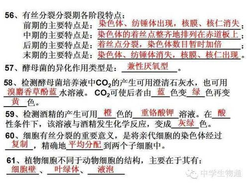 高中生物必修一二三基础知识检查清单,考生必看