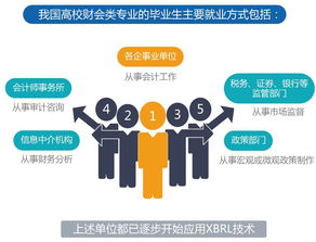 会计信息化,会计信息化的含义