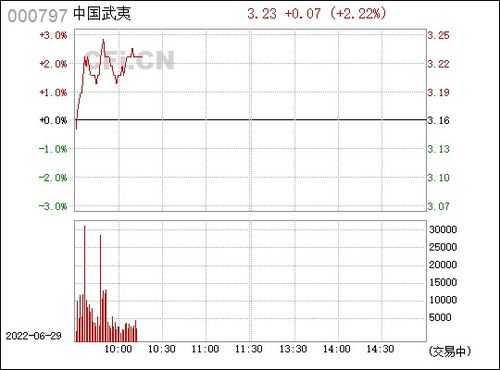 中国武夷是做什么的