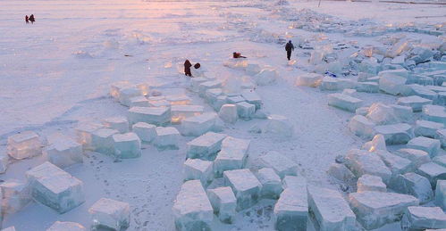 除了 冷资源 更有 冷知识 哈尔滨不止是一座老牌冰雪之都