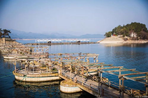 千岛湖中心湖区停车场凭票免费吗(千岛湖景区停车场收费标准)