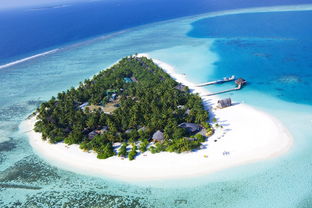 马尔代夫薇拉瓦鲁度假村攻略（完美海岛之旅）