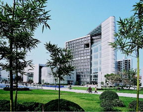 上海开放大学川沙地址,上海开放大学川沙校区地址揭秘，探秘高等教育的魅力所在 