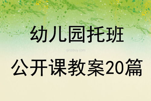 大班冬至手工作品饺子教案