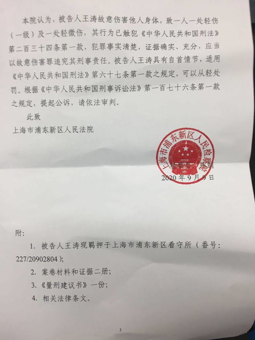 故意伤害罪毕业论文