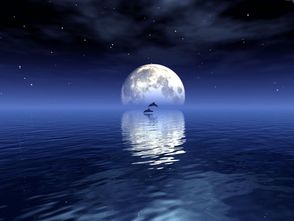 解梦分析 梦见月亮的寓意