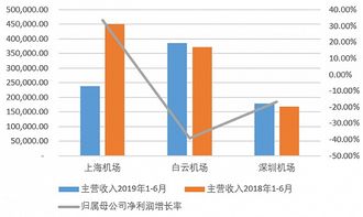 控股股东都有什么权利 净盈利是怎么分配的