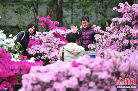 天气回暖 鲜花盛开 