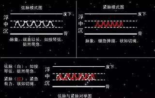 中医脉诊动画图 搜狗图片搜索