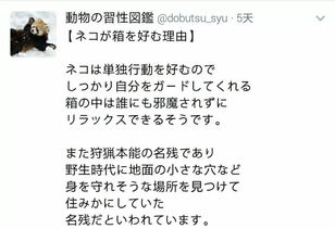 日本博主的动物习性冷知识小课堂,网友 可爱到想把所有动物打包回家