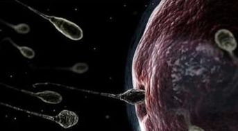 吃男人的精子有什么功效,吃什么能拯救你的精子？