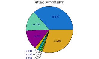 最大股东名称是什么